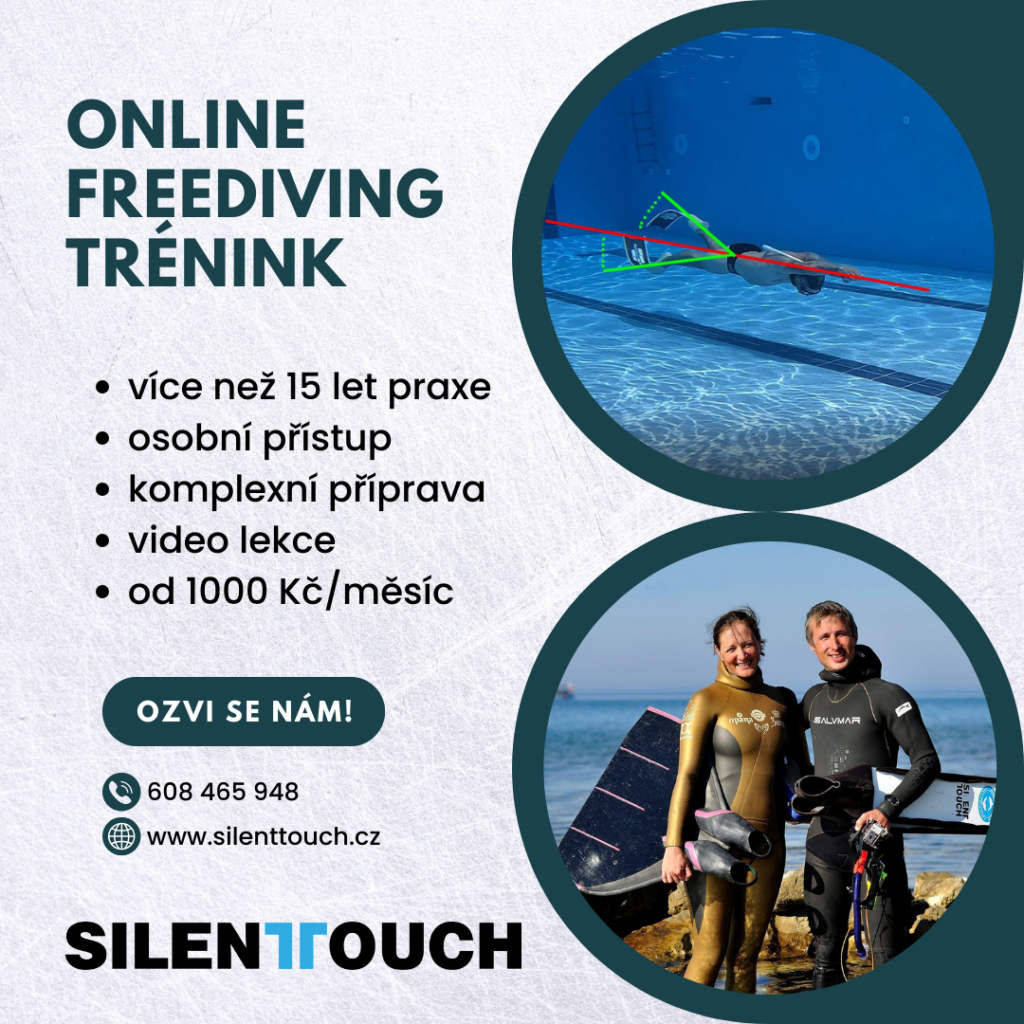 online freediving trénink